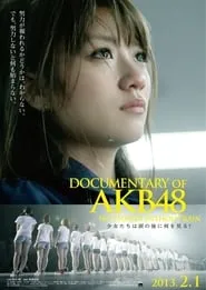 Documentary of AKB48 No Flower Without Rain (2013)