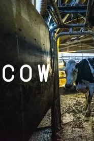 Cow (2022)